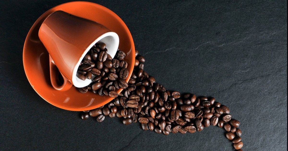 カフェインが人体に与える影響。効果や過剰摂取の危険性について解説。